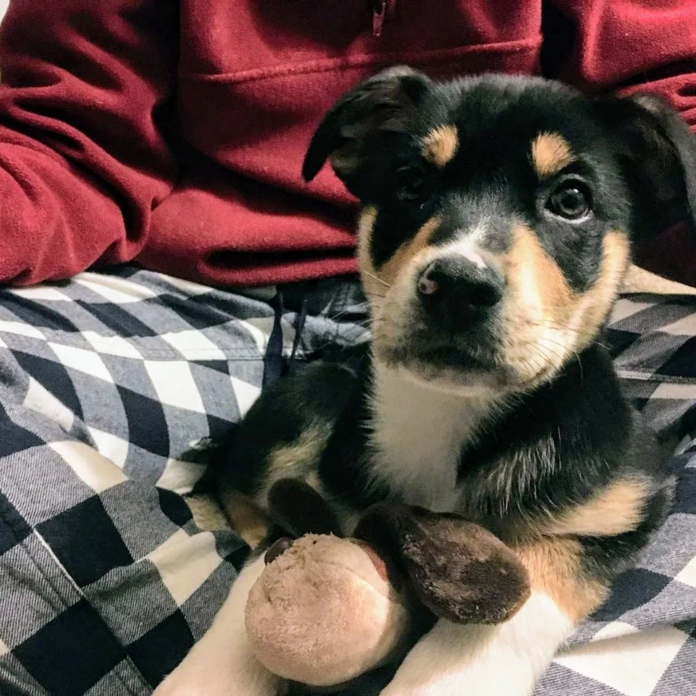 Cuteness - Picture 2 of 2